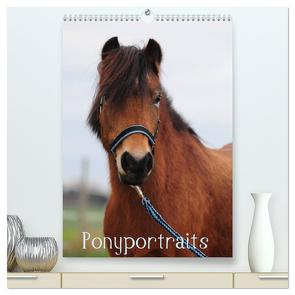 Wandkalender Ponyportraits (hochwertiger Premium Wandkalender 2024 DIN A2 hoch), Kunstdruck in Hochglanz von Lügger,  Gabriele