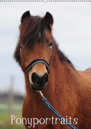 Wandkalender Ponyportraits (Wandkalender 2019 DIN A2 hoch) von Lügger,  Gabriele