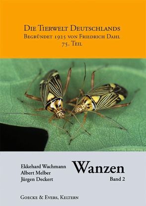 Wanzen Band 2 von Jürgen,  Deckert, Melber,  Albert, Wachmann,  Ekkehard