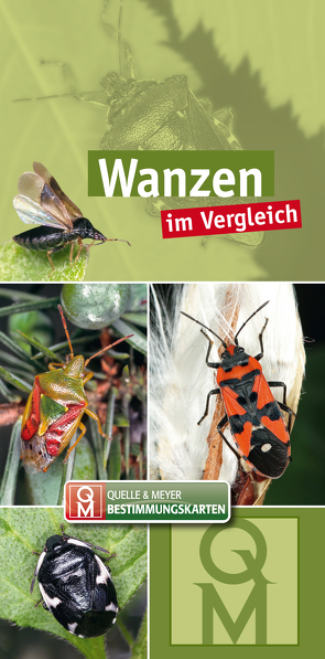 Wanzen von Quelle & Meyer Verlag