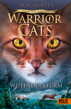 Warrior Cats – Vision von Schatten. Wütender Sturm von Hunter,  Erin, Levin,  Friederike