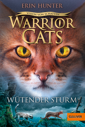 Warrior Cats – Vision von Schatten. Wütender Sturm von Hunter,  Erin, Levin,  Friederike