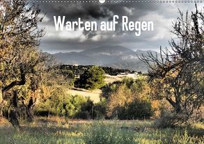 Warten auf Regen (Wandkalender 2019 DIN A2 quer) von Lacher,  Ingrid