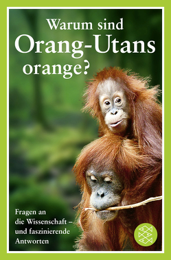 Warum sind Orang-Utans orange? von O'Hare,  Mick