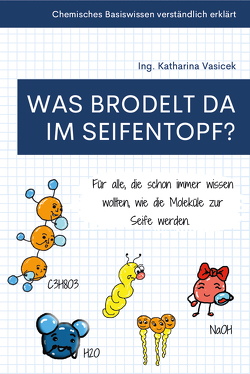 Was brodelt da im Seifentopf? von Vasicek,  Ing. Katharina