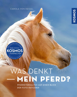 Was denkt mein Pferd? von Kessel,  Carola von