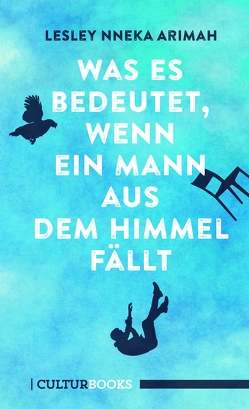 Was es bedeutet, wenn ein Mann aus dem Himmel fällt von Arimah,  Lesley Nneka Arimah, Beck,  Zoe