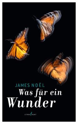 Was für ein Wunder von Bolte,  Rike, Noël,  James