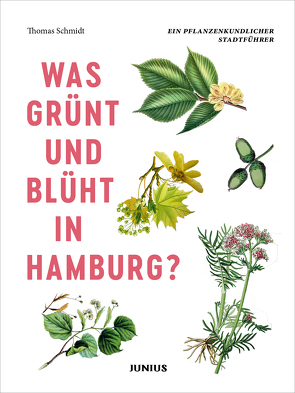 Was grünt und blüht in Hamburg? von Schmidt,  Thomas