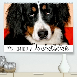 Was heißt hier Dackelblick? (Premium, hochwertiger DIN A2 Wandkalender 2022, Kunstdruck in Hochglanz) von Drafz,  Silvia