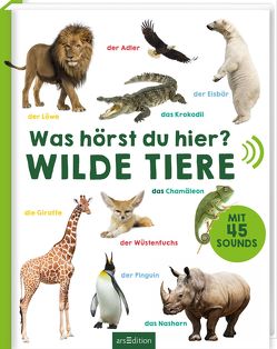 Was hörst du hier? – Wilde Tiere