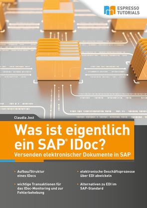 Was ist eigentlich ein SAP IDoc? Versenden elektronischer Dokumente in SAP von Jost,  Claudia