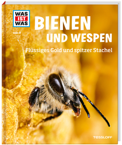WAS IST WAS Band 19 Bienen und Wespen. Flüssiges Gold und spitzer Stachel von Kolb,  Arno, Rigos,  Alexandra