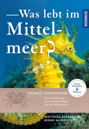 Was lebt im Mittelmeer von Bergbauer,  Matthias, Humberg,  Bernd
