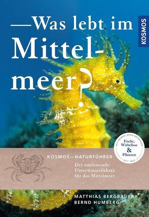 Was lebt im Mittelmeer? von Bergbauer,  Matthias, Humberg,  Bernd