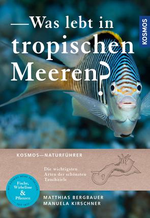 Was lebt in tropischen Meeren? von Bergbauer,  Matthias