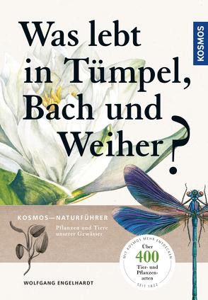 Was lebt in Tümpel, Bach und Weiher von Engelhardt,  Wolfgang, Martin,  Peter, Rehfeld,  Klaus