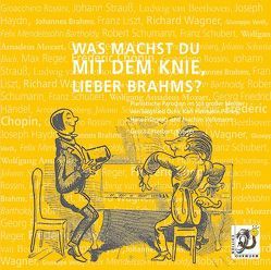 Was machst du mit dem Knie, lieber Brahms? von Ochs,  Siegfried, Pillney,  Karl H, Priegnitz,  Hans, Volkmann,  Joachim, Zitterbart,  Gerrit