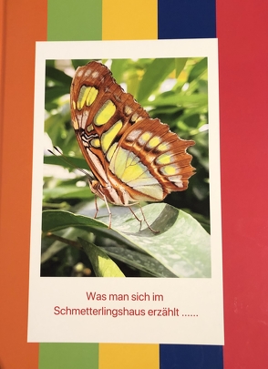 Was man sich im Schmetterlingshaus erzählt …. von Buss,  Björn-Lars