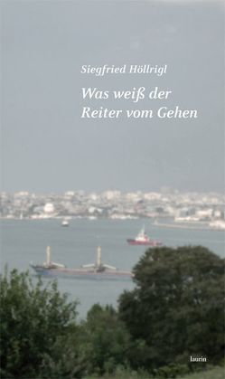 Was weiß der Reiter vom Gehen von Höllrigl,  Siegfried