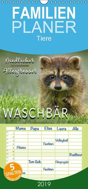 Waschbär – Niedlicher Allesfresser – Familienplaner hoch (Wandkalender 2019 , 21 cm x 45 cm, hoch) von Roder,  Peter