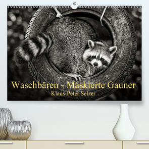 Waschbären – Maskierte Gauner (Premium, hochwertiger DIN A2 Wandkalender 2021, Kunstdruck in Hochglanz) von Selzer,  Klaus-Peter