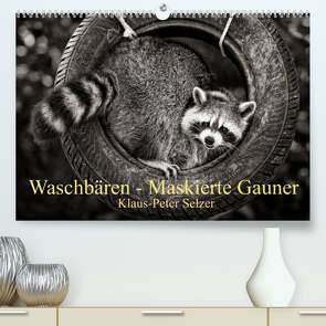 Waschbären – Maskierte Gauner (Premium, hochwertiger DIN A2 Wandkalender 2022, Kunstdruck in Hochglanz) von Selzer,  Klaus-Peter