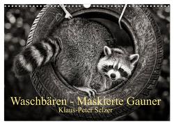 Waschbären – Maskierte Gauner (Wandkalender 2024 DIN A3 quer), CALVENDO Monatskalender von Selzer,  Klaus-Peter