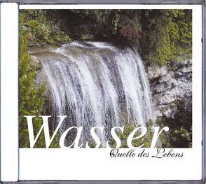 Wasser – Quelle des Lebens von Dingler,  Karl H