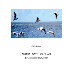 Wasser – Watt – und Hallig von Meyer,  Erich