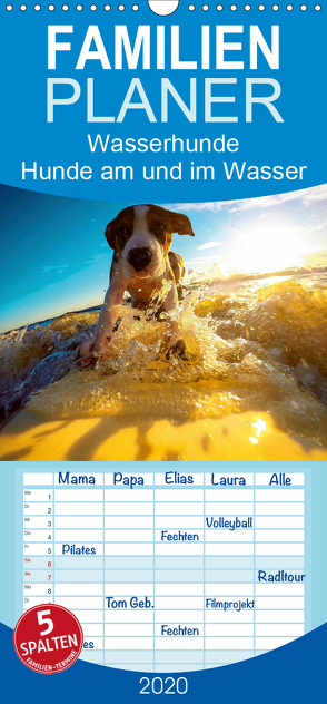 Wasserhunde: Hunde am und im Wasser – Familienplaner hoch (Wandkalender 2020 , 21 cm x 45 cm, hoch) von Lehmann (Hrsg.),  Steffani