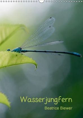 Wasserjungfern (Wandkalender 2018 DIN A3 hoch) von Biewer,  Beatrice