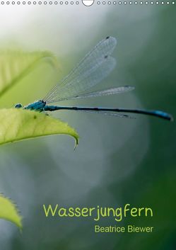 Wasserjungfern (Wandkalender 2019 DIN A3 hoch) von Biewer,  Beatrice