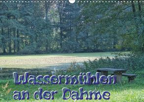 Wassermühlen an der Dahme (Wandkalender 2019 DIN A3 quer) von Morgenroth,  Peter