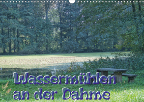 Wassermühlen an der Dahme (Wandkalender 2020 DIN A3 quer) von Morgenroth,  Peter