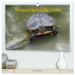 Wasserschildkröten (hochwertiger Premium Wandkalender 2024 DIN A2 quer), Kunstdruck in Hochglanz von Kretschmann,  Klaudia