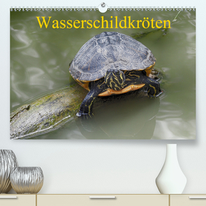 Wasserschildkröten (Premium, hochwertiger DIN A2 Wandkalender 2021, Kunstdruck in Hochglanz) von Kretschmann,  Klaudia