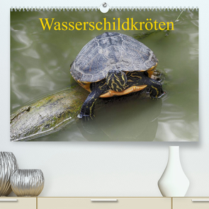 Wasserschildkröten (Premium, hochwertiger DIN A2 Wandkalender 2022, Kunstdruck in Hochglanz) von Kretschmann,  Klaudia