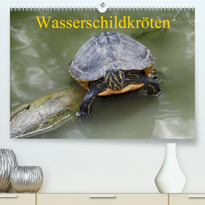 Wasserschildkröten (Premium, hochwertiger DIN A2 Wandkalender 2020, Kunstdruck in Hochglanz) von Kretschmann,  Klaudia