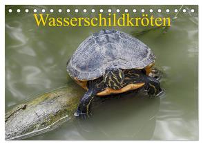 Wasserschildkröten (Tischkalender 2024 DIN A5 quer), CALVENDO Monatskalender von Kretschmann,  Klaudia