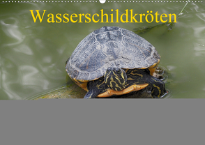 Wasserschildkröten (Wandkalender 2021 DIN A2 quer) von Kretschmann,  Klaudia