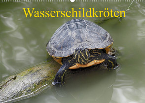 Wasserschildkröten (Wandkalender 2022 DIN A2 quer) von Kretschmann,  Klaudia