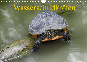 Wasserschildkröten (Wandkalender 2022 DIN A4 quer) von Kretschmann,  Klaudia