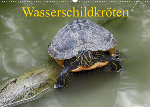 Wasserschildkröten (Wandkalender 2023 DIN A2 quer) von Kretschmann,  Klaudia