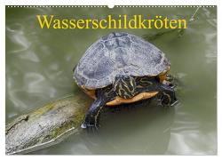 Wasserschildkröten (Wandkalender 2024 DIN A2 quer), CALVENDO Monatskalender von Kretschmann,  Klaudia