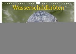 Wasserschildkröten (Wandkalender 2024 DIN A4 quer), CALVENDO Monatskalender von Kretschmann,  Klaudia