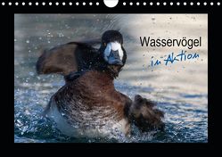 Wasservögel in Aktion (Wandkalender 2020 DIN A4 quer) von Heufelder,  Stefanie