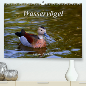 Wasservögel (Premium, hochwertiger DIN A2 Wandkalender 2023, Kunstdruck in Hochglanz) von Di Chito,  Ursula