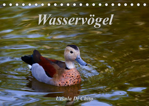 Wasservögel (Tischkalender 2023 DIN A5 quer) von Di Chito,  Ursula