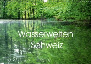 Wasserwelten Schweiz (Wandkalender 2019 DIN A3 quer) von Eigenheer,  Sandra